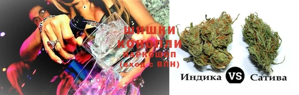 винт Алексин