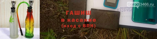 прущие грибы Алексеевка