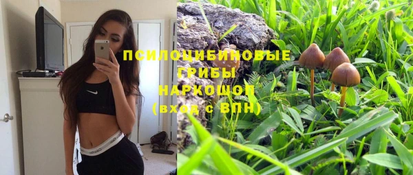 винт Алексин