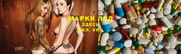 прущие грибы Алексеевка