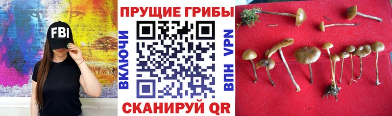 Галлюциногенные грибы ЛСД  Борзя 