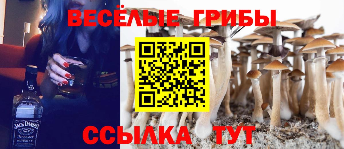 Борзя  Псилоцибиновые грибы Magic Shrooms  где продают наркотики  Вход с VPN 